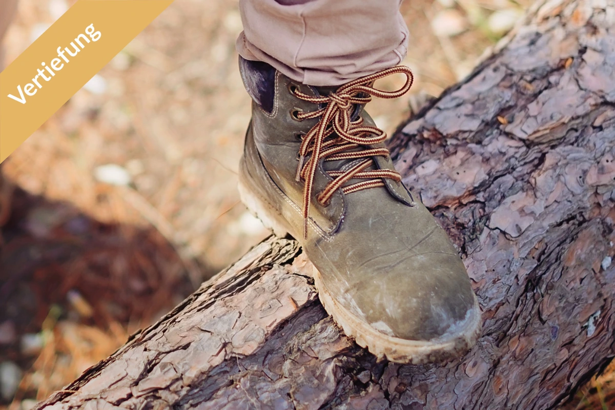 Wanderschuh auf Baumstamm – Balance und Trittsicherheit